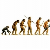 FRASES con IMÁGENES sobre la EVOLUCIÓN HUMANA